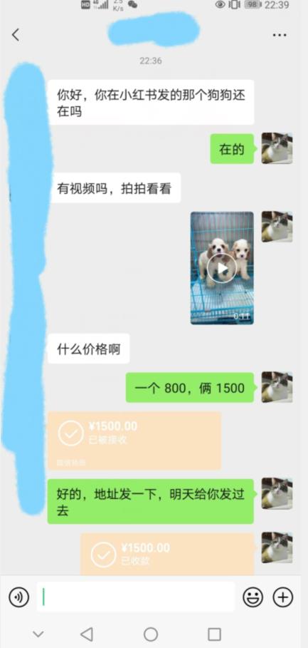 外边收费3980的同城萌宠项目,用最冷门的玩法冲击最热门的市场【揭秘】-水滴知识网