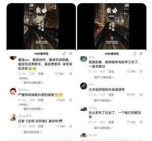 副业拆解:抖音杰伦音乐号涨粉变现项目,视频版一条龙实操玩法分享给你-水滴知识网