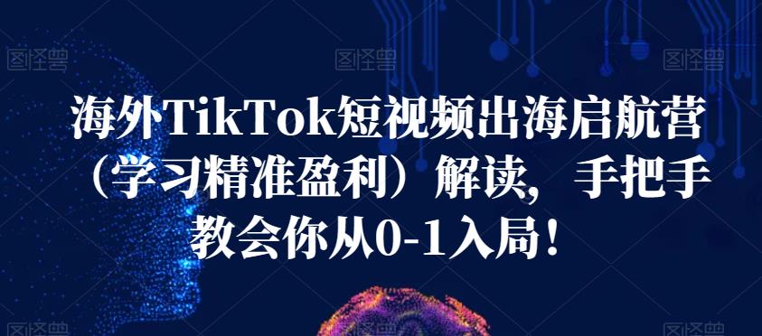 海外TikTok短视频出海启航营(学习精准盈利)解读,手把手教会你从0-1入局!-水滴知识网