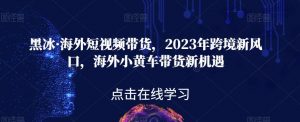 黑冰·海外短视频带货,2023年跨境新风口,海外小黄车带货新机遇-水滴知识网