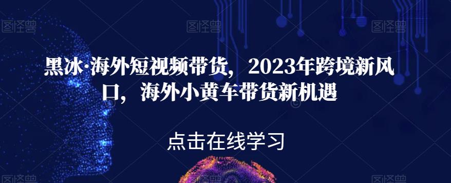 黑冰·海外短视频带货,2023年跨境新风口,海外小黄车带货新机遇-水滴知识网