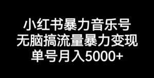 小红书暴力音乐号，无脑搞流量暴力变现，单号月入5000+-水滴知识网