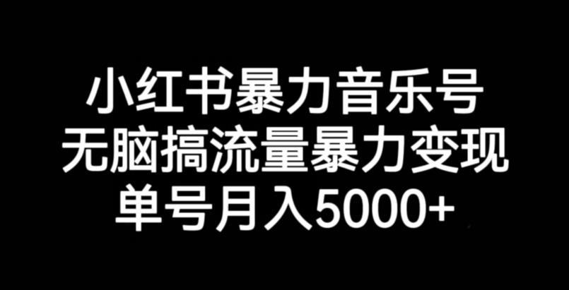 小红书暴力音乐号，无脑搞流量暴力变现，单号月入5000+-水滴知识网