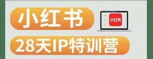 28天小红书博主IP特训营（第3期）实战经验，快速涨粉，迅速变现-水滴知识网