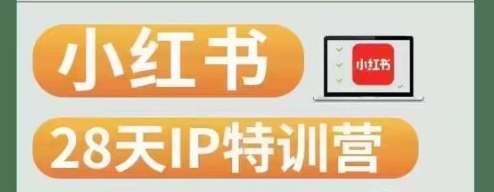 28天小红书博主IP特训营(第3期)实战经验,快速涨粉,迅速变现-水滴知识网