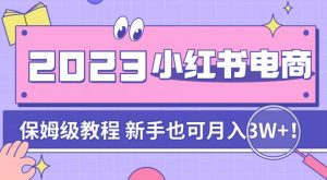 阿本小红书电商陪跑营4.0,带大家从0到1把小红书做起来-水滴知识网