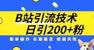 B站引流技术:每天引流200精准粉,简单操作,长期稳定,规避风险-水滴知识网
