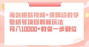 海外爆款视频+保姆级教学,壁纸号项目最新玩法,月入10000+教你一步到位【揭秘】-水滴知识网