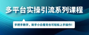 多平台引流实操系列课程，新手小白看完也可轻松上手进行引流操作-水滴知识网