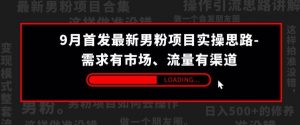 9月首发最新男粉项目实操思路-需求有市场，流量有渠道【揭秘】-水滴知识网