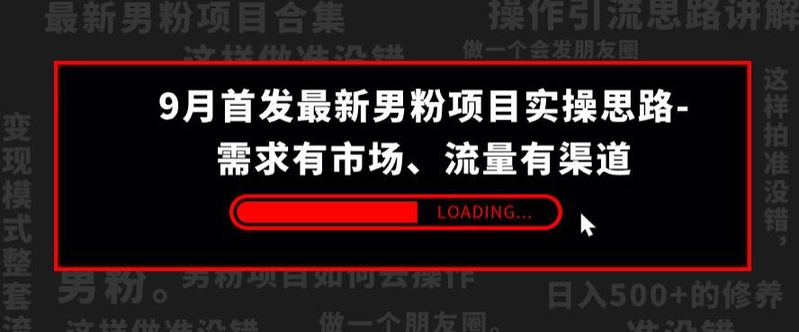 9月首发最新男粉项目实操思路-需求有市场，流量有渠道【揭秘】-水滴知识网