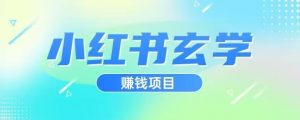 小红书玄学项目，直接上手操作，日入500【揭秘】-水滴知识网