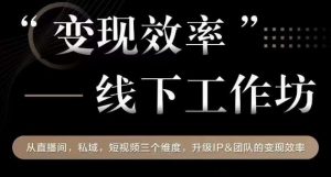 变现效率线下工作坊,从播直间、私域、视短频个三维度,升级IP和团队变现效率-水滴知识网