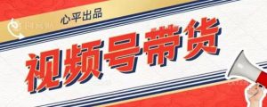 视频号带货好物分享2.0，看完以后可以直接开干了【揭秘】-水滴知识网