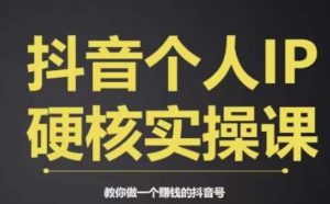 个人IP创富系统实战课，商业定位，流量打造，短视频变现，教你做个赚钱的抖音号-水滴知识网
