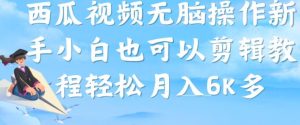 西瓜视频搞笑号,无脑操作新手小白也可月入6K-水滴知识网