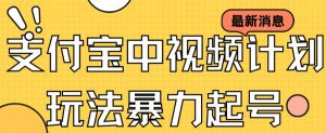 支付宝中视频玩法暴力起号影视起号有播放即可获得收益(带素材)-水滴知识网