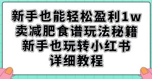 新手也能轻松盈利1w,卖减肥食谱玩法秘籍,新手也玩转小红书详细教程【揭秘】-水滴知识网