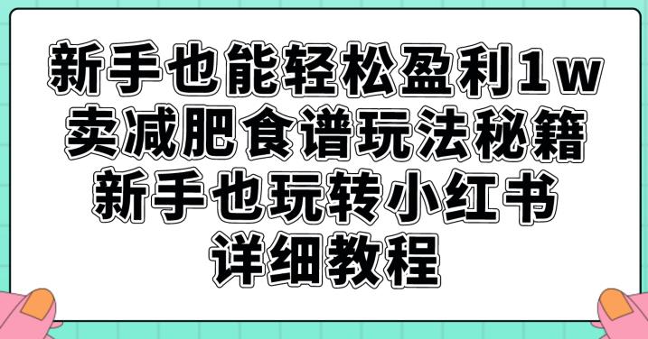 新手也能轻松盈利1w，卖减肥食谱玩法秘籍，新手也玩转小红书详细教程【揭秘】-水滴知识网