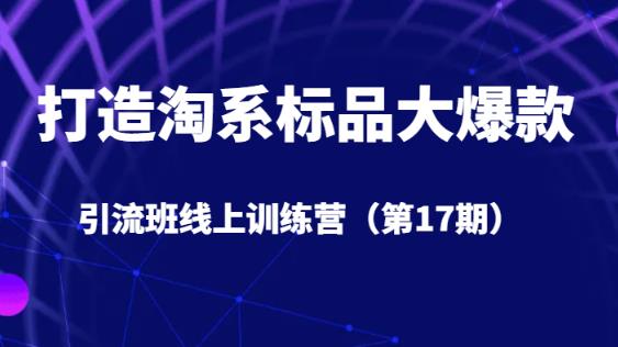 打造淘系标品大爆款引流班线上训练营(第17期)5天直播授课-水滴知识网