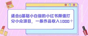 适合0基础小白做的小红书颜值打分小众项目，一条作品收入1000＋【揭秘】-水滴知识网