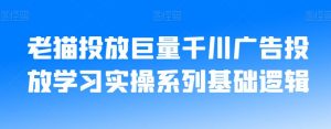 老猫投放巨量千川广告投放学习实操系列基础逻辑-水滴知识网