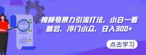 视频号暴力引流打法，小白一看就会，冷门小众，日入300+【揭秘】-水滴知识网