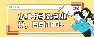 小红书引流创业粉，日引100+【揭秘】-水滴知识网