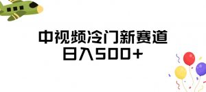 中视频冷门新赛道，做的人少，三天之内必起号，日入500+【揭秘】-水滴知识网