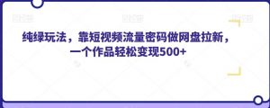 纯绿玩法，靠短视频流量密码做网盘拉新，一个作品轻松变现500+【揭秘】-水滴知识网