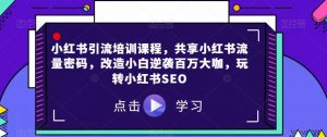 小红书引流培训课程,共享小红书流量密码,改造小白逆袭百万大咖,玩转小红书SEO-水滴知识网