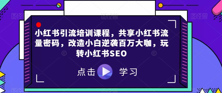 小红书引流培训课程,共享小红书流量密码,改造小白逆袭百万大咖,玩转小红书SEO-水滴知识网
