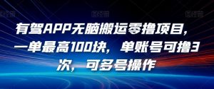 有驾APP无脑搬运零撸项目,一单最高100块,单账号可撸3次,可多号操作【揭秘】-水滴知识网