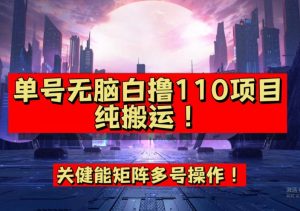 9月全网首发，单号直接白撸110！可多号操作，无脑搬运复制粘贴【揭秘】-水滴知识网