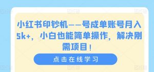 小红书印钞机——号成单账号月入5k+，小白也能简单操作，解决刚需项目【揭秘】-水滴知识网