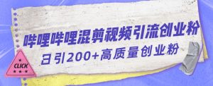 哔哩哔哩B站混剪视频引流创业粉日引300+-水滴知识网