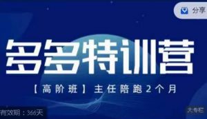 纪主任·多多特训营高阶班【9月13日更新】,拼多多最新玩法技巧落地实操-水滴知识网