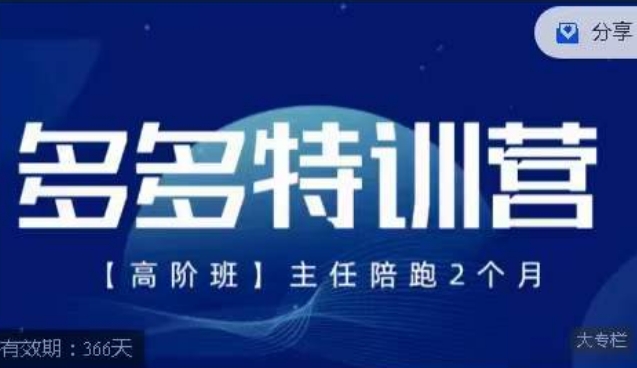 纪主任·多多特训营高阶班【9月13日更新】,拼多多最新玩法技巧落地实操-水滴知识网