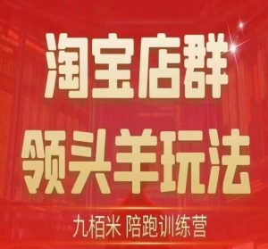 九栢米-淘宝店群领头羊玩法,教你整个淘宝店群领头羊玩法以及精细化/终极蓝海/尾销等内容-水滴知识网
