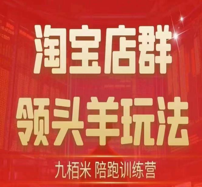 九栢米-淘宝店群领头羊玩法,教你整个淘宝店群领头羊玩法以及精细化/终极蓝海/尾销等内容-水滴知识网