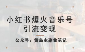 小红书爆火音乐号引流变现项目,视频版一条龙实操玩法分享给你-水滴知识网