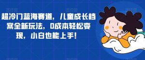 超冷门蓝海赛道，儿童成长档案全新玩法，0成本轻松变现，小白也能上手【揭秘】-水滴知识网