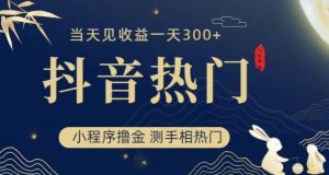 抖音最新小程序撸金,测手相上热门,当天见收益一小时变现300+【揭秘】-水滴知识网