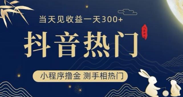 抖音最新小程序撸金，测手相上热门，当天见收益一小时变现300+【揭秘】-水滴知识网