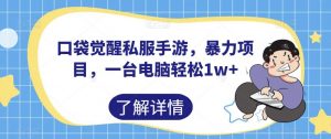 口袋觉醒私服手游,暴力项目,一台电脑轻松1w+【揭秘】-水滴知识网