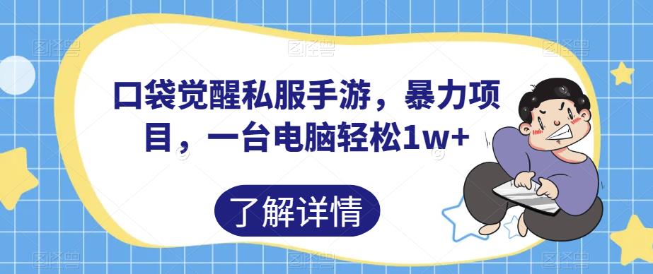 口袋觉醒私服手游,暴力项目,一台电脑轻松1w+【揭秘】-水滴知识网