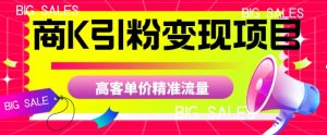 商K引粉变现项目，高客单价精准流量【揭秘】-水滴知识网