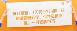 暴力项目,1天花1个小时,玩知识截图分享,引导私域变现,一月轻松过万【截图】-水滴知识网