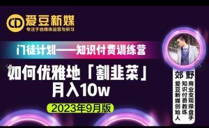 爱豆新媒:如何优雅地「割韭菜」月入10w的秘诀(2023年9月版)-水滴知识网