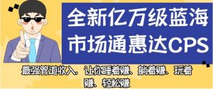 全新亿万级蓝海市场通惠达cps,最强管道收入,让你睡着赚、躺着赚、玩着赚、轻松赚【揭秘】-水滴知识网